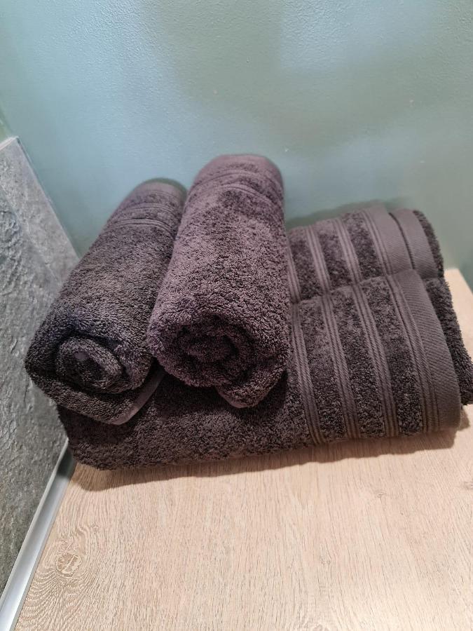 Le Scottmanhouse - Appartement Prive - Centre Ville - Gare - Wi-Fi アラス エクステリア 写真